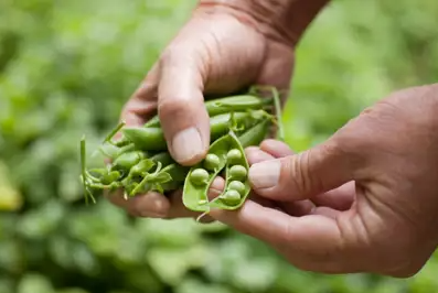 Winter's a great time to be in the garden