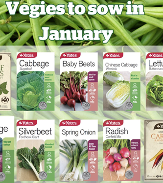 Kickstart your garden this January with Yates