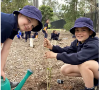 Fun for Kids on National Tree Day this July