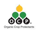 OCP